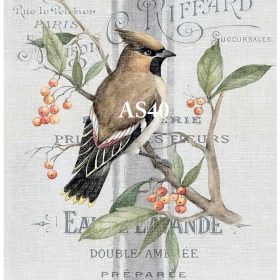 LineArt Pirinç Dekopaj Kağıdı AS40